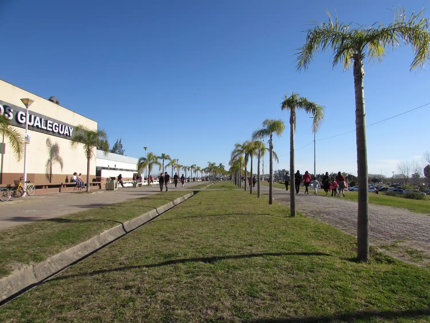 Coronavirus: 5 nuevos positivos en Gualeguay