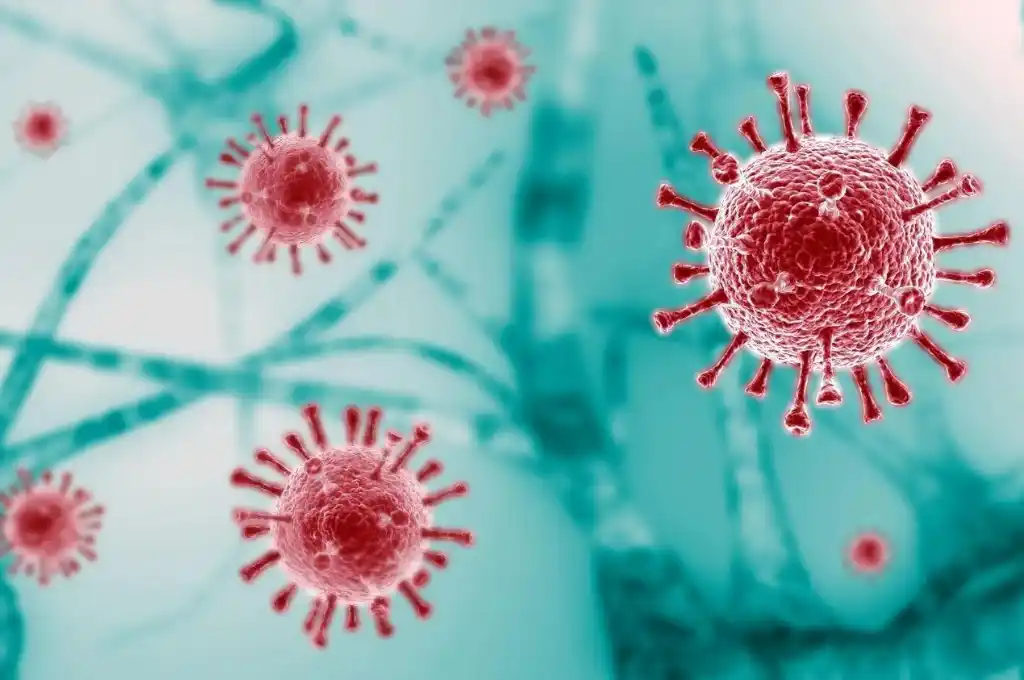 Se confirmaron los primeros casos de la subvariante EG.5 en el país