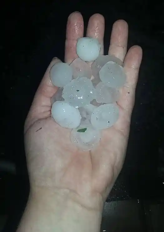 Aranguren: el granizo provocó serios daños en los cultivos