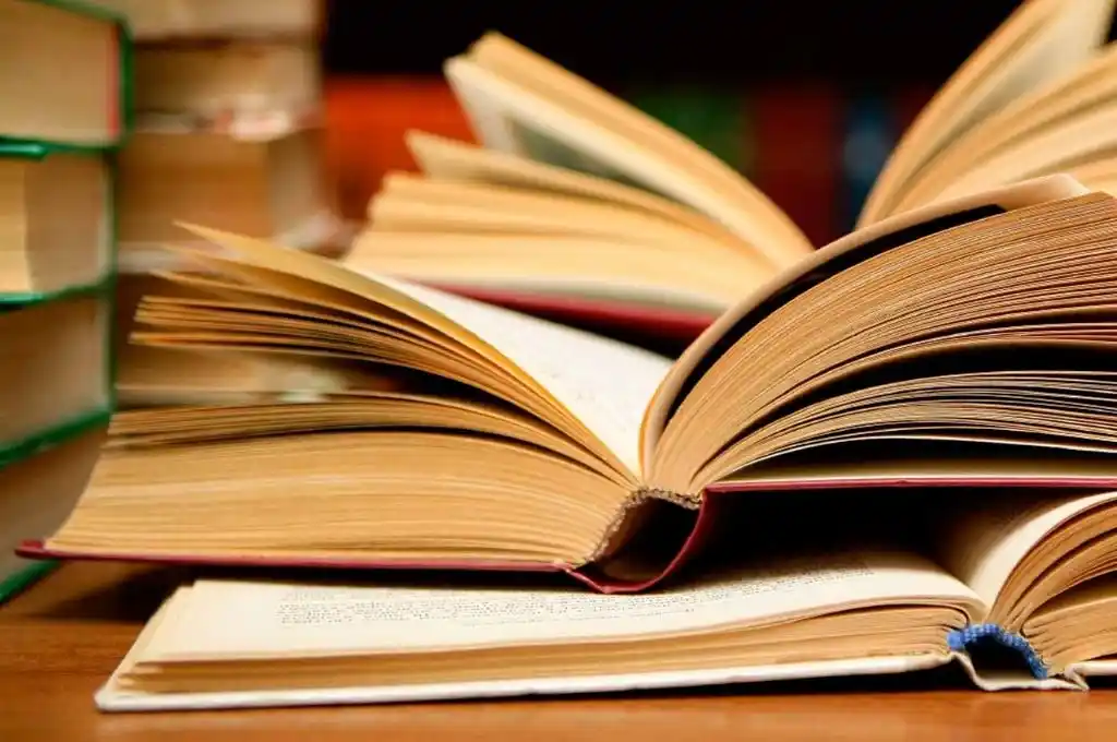 Viernes a color: las juventudes conversan sobre poesía santafesina