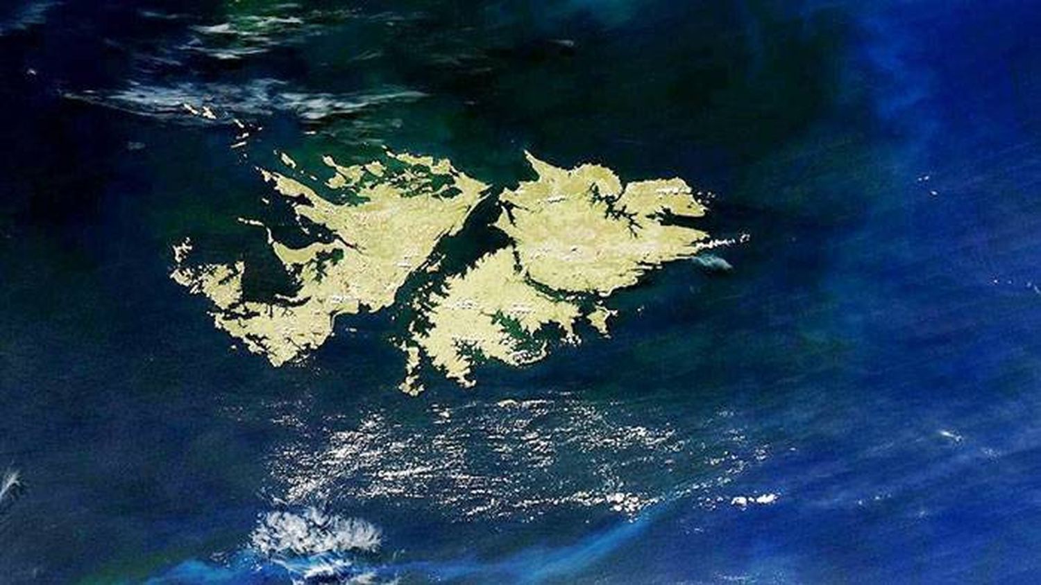 Encuentro Nacional del batallón Antiaéreo de Infantería Marina de Malvinas