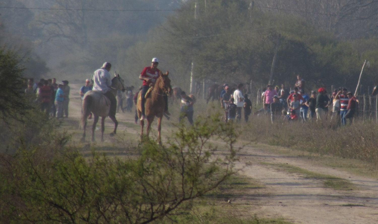 Continúan las carreras de caballo clandestinas