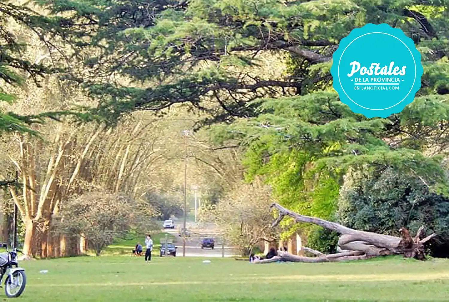 Postales de la Provincia: Reserva de la Biósfera de 10 mil hectáreas en pleno Buenos Aires