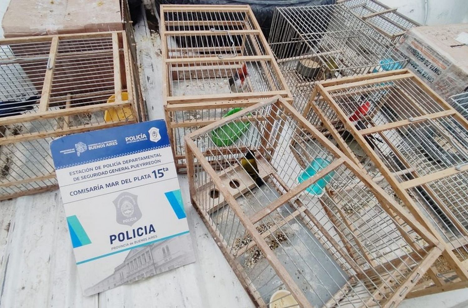 Allanan la casa de acusados de dispararle a un perro y encuentran más de 40 aves