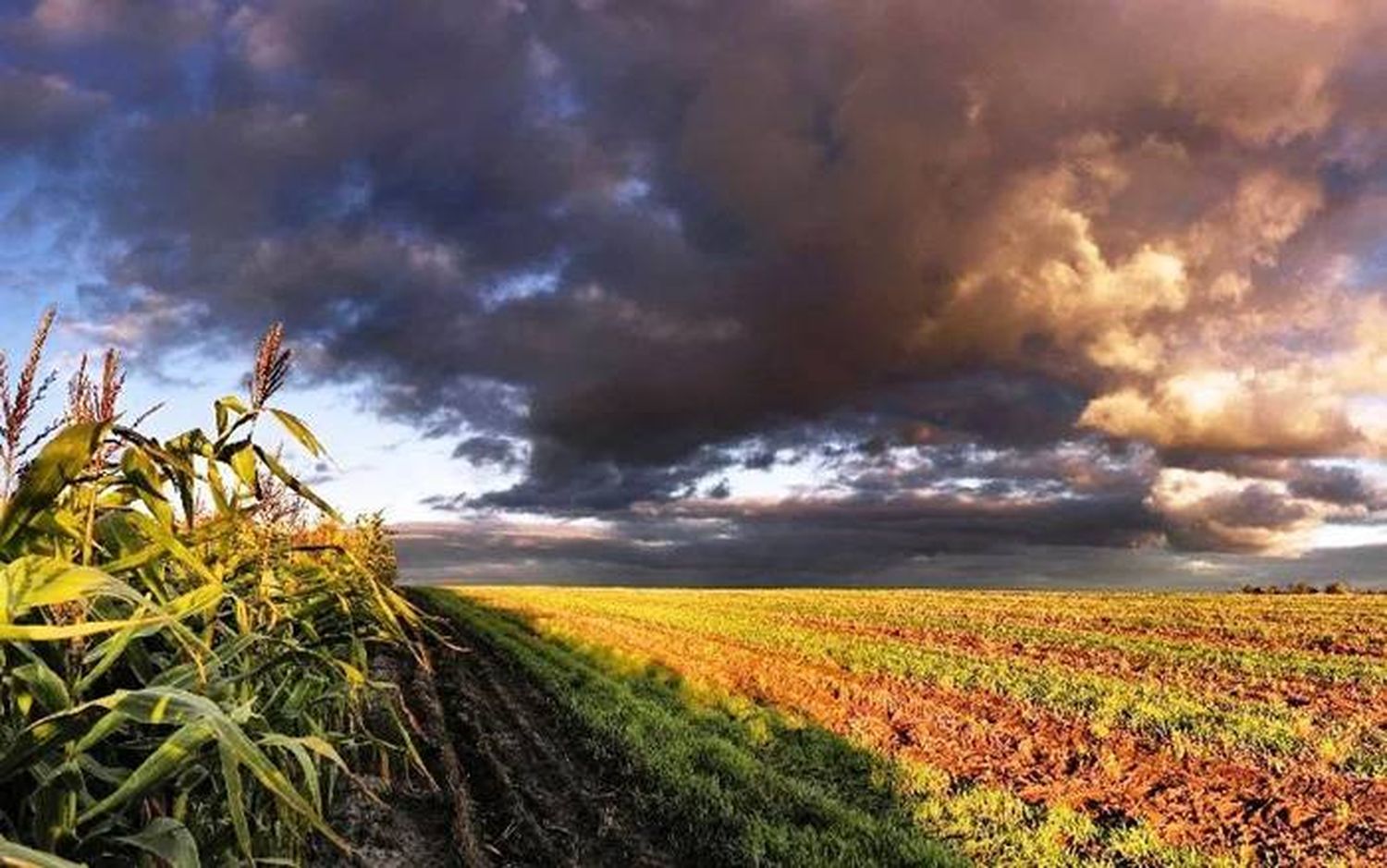 Pronóstico: qué se prevé para el fin del invierno y el inicio de la primavera