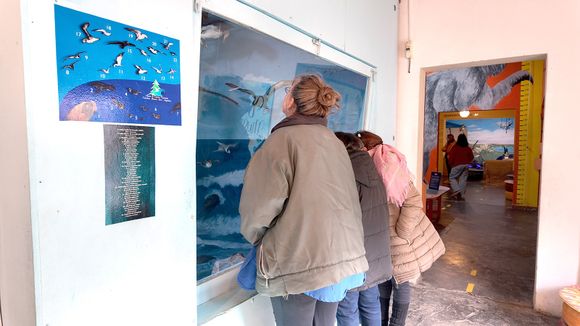 Recorrer Necochea en vacaciones: los museos y su propuesta de invierno