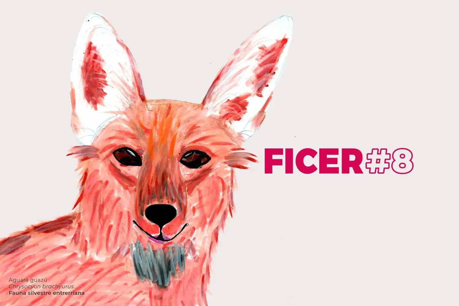 El aguará guazú es la nueva imagen del FICER 2026: la fauna entrerriana vuelve a ser protagonista
