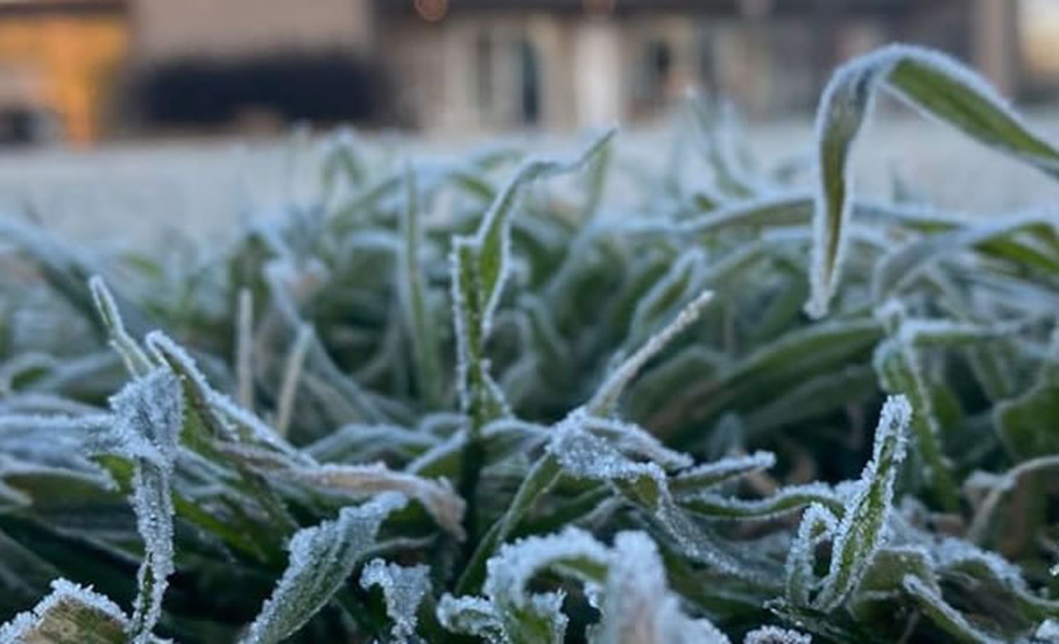 Frío intenso en Gualeguay: el termómetro llegó a -4 °C de térmica