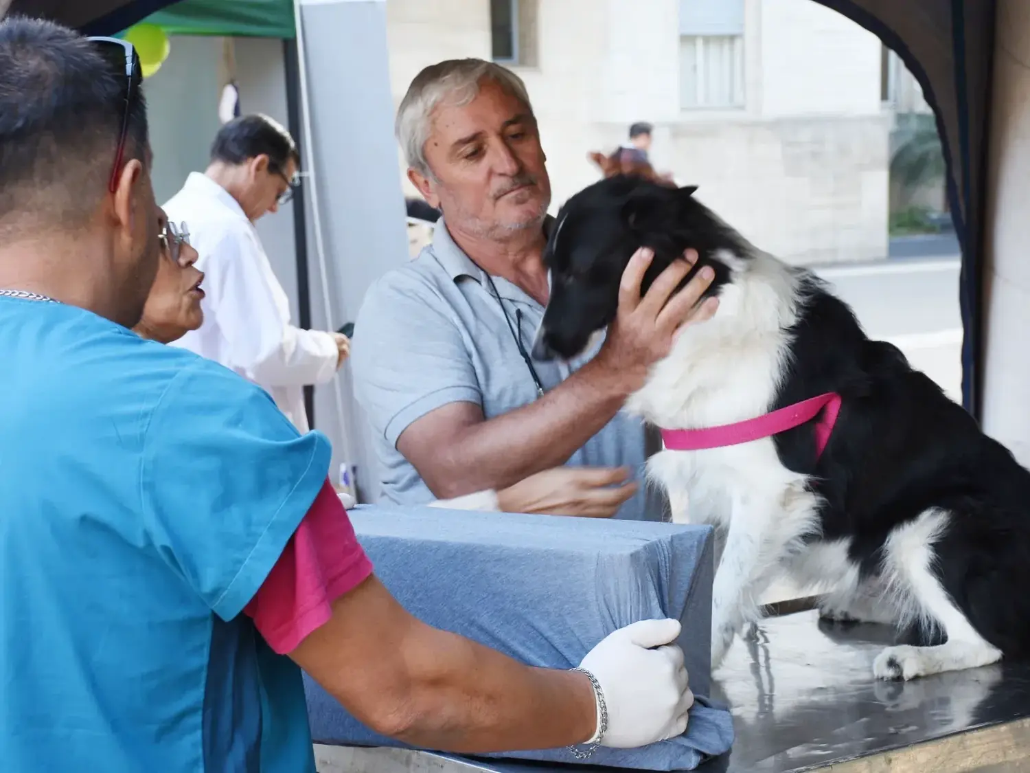 El Programa de Esterilizaciones Barriales atenderá hoy en el barrio Lavardén