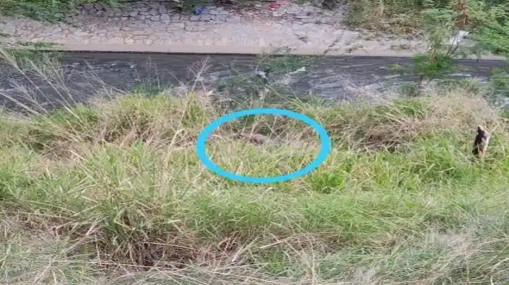 Localizan cadáver de un hombre en las riberas del río Guaire