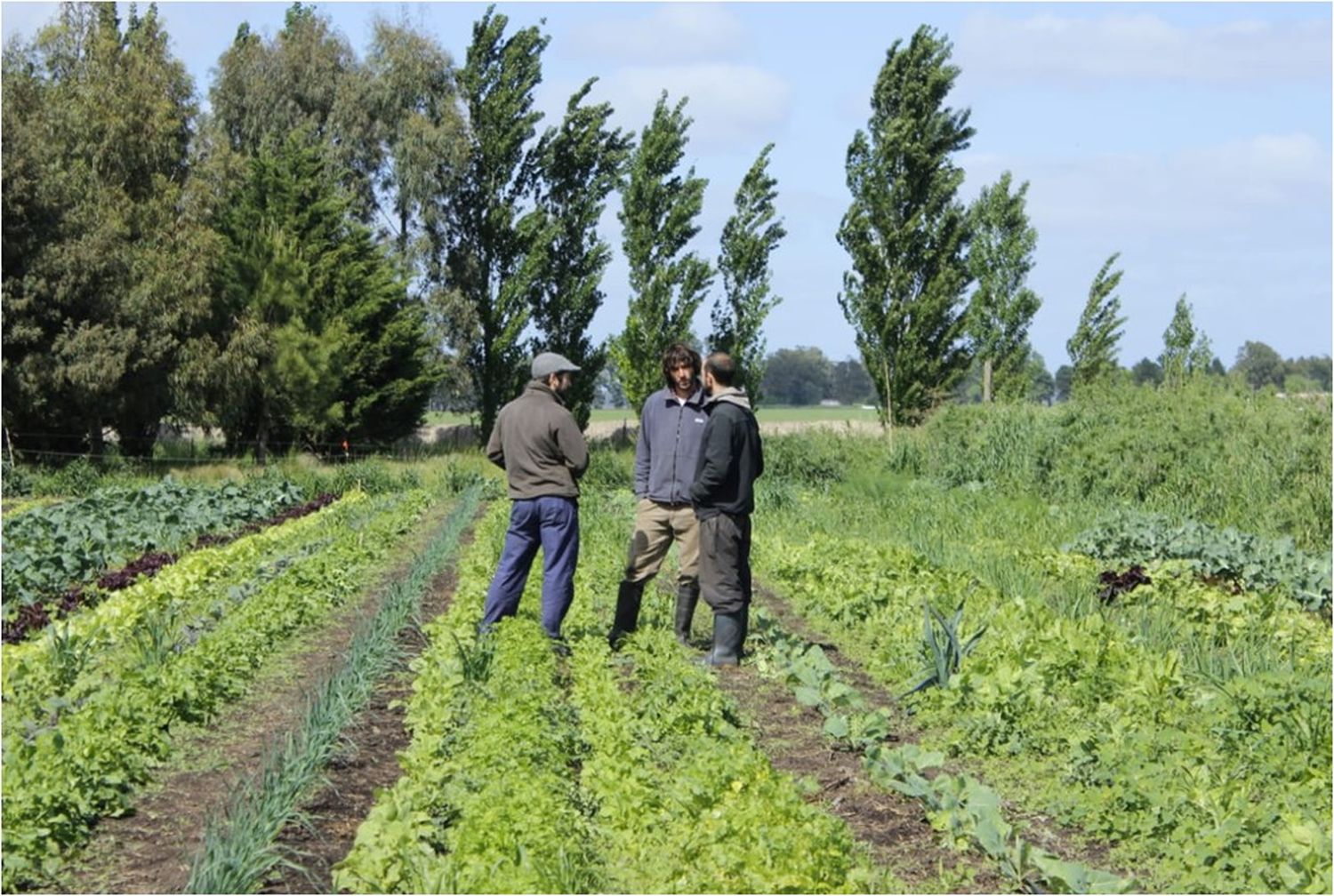 Buscan fortalecer a pequeños productores y promover la producción agropecuaria sustentable en la región