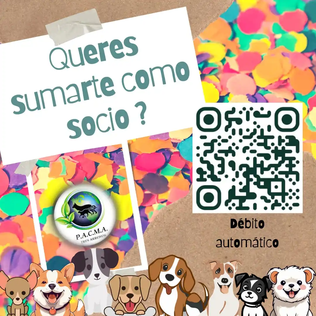 La protectora de animales Pacma necesita tu ayuda
