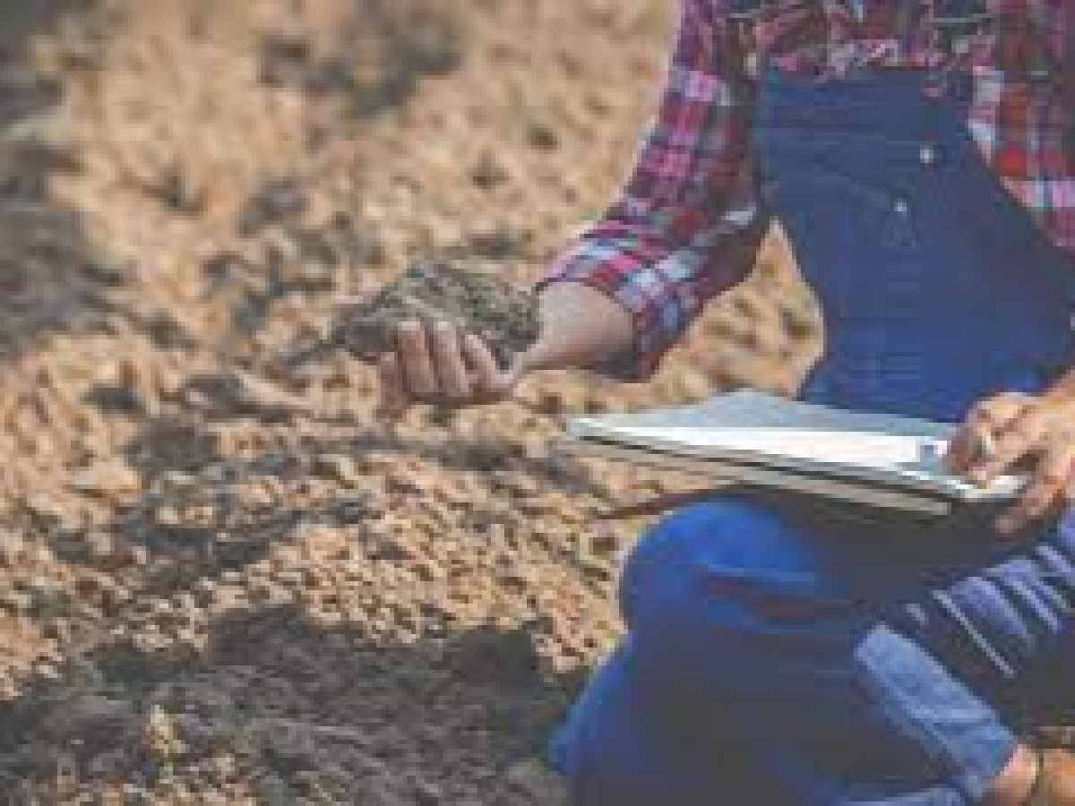 Un 74 % de los productores agropecuarios cree que su situación mejorará en los próximos meses