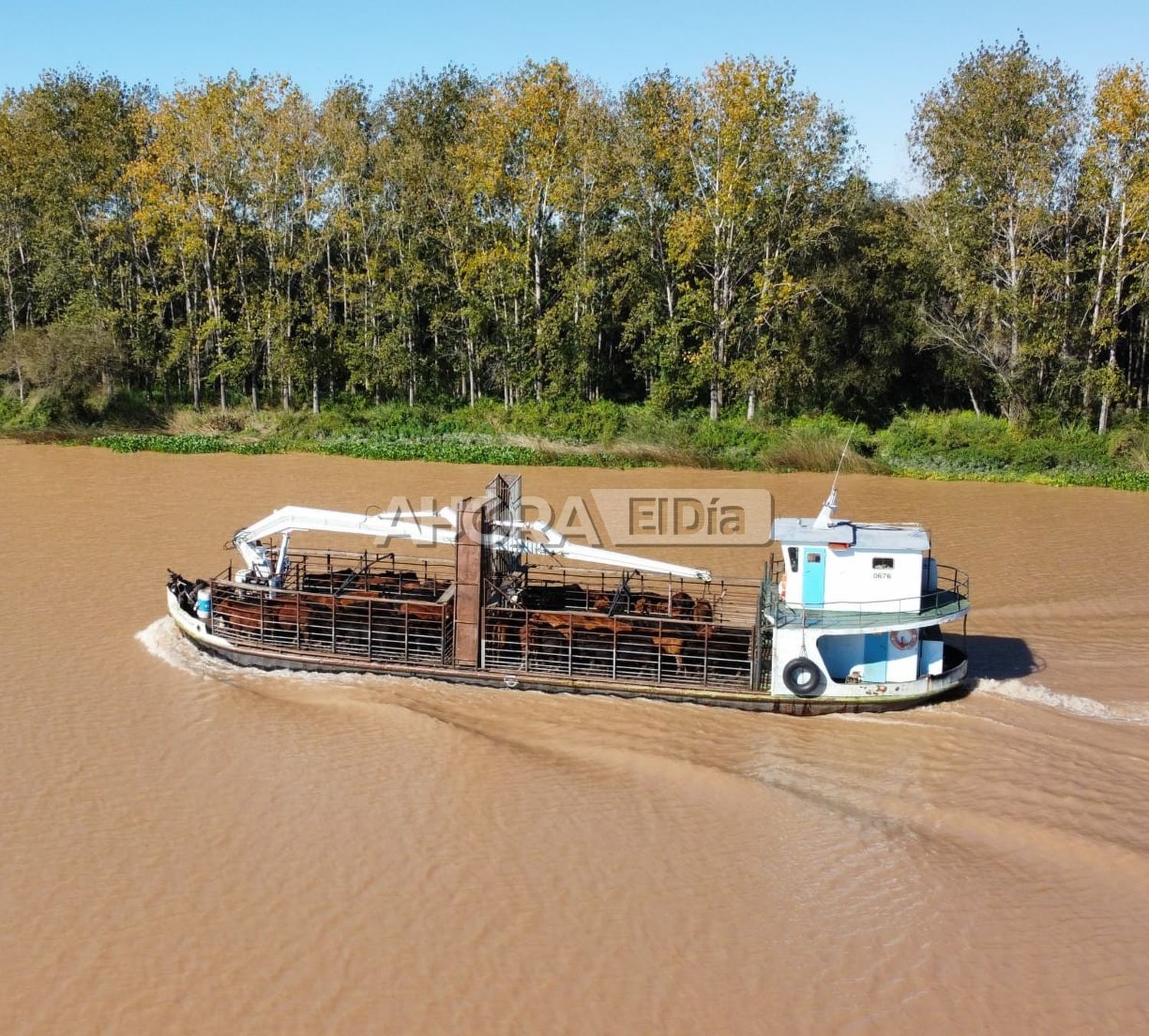 Las Islas del sur entrerriano: un tesoro que todo debemos cuidar