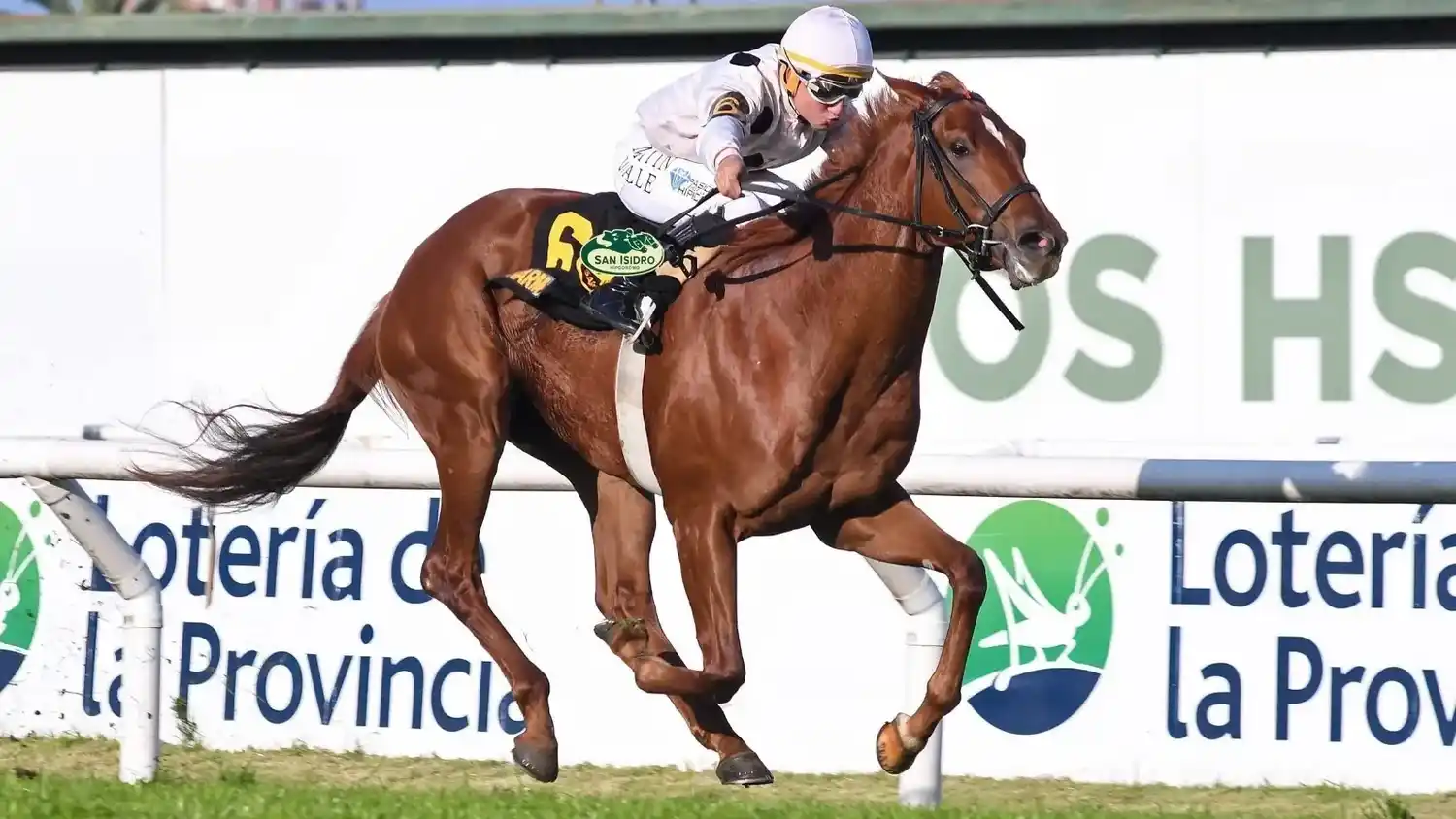 Tras volver a la buena senda, la campeona Charm quiere seguir sumando en el Clásico Los Haras (G2), en San Isidro.