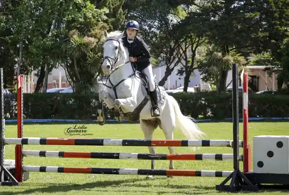 El Club Ecuestre Mar del Plata celebró su 59° aniversario con un concurso de salto