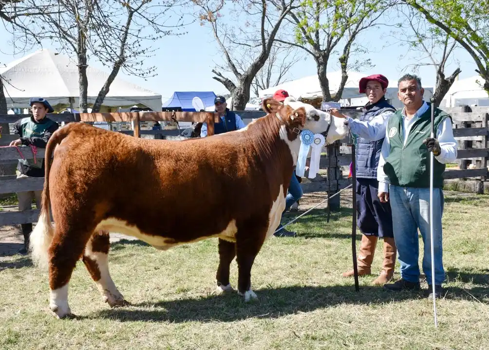 FARER dio a conocer las fechas de las exposiciones ganaderas y comerciales de 2024