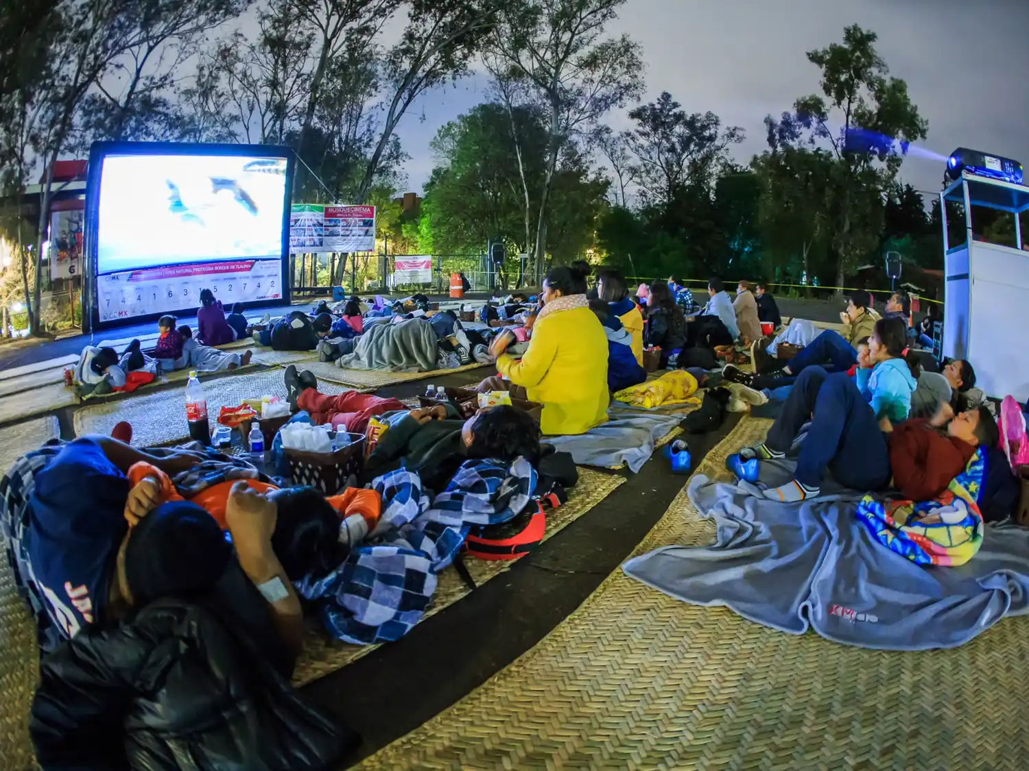 cine al aire libre