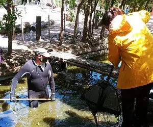 Preparan las instalaciones de Piscicultura, de cara al verano