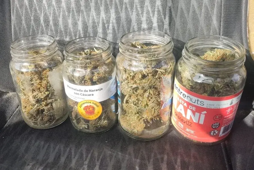 Una discusión de pareja terminó con secuestro de marihuana y una causa judicial