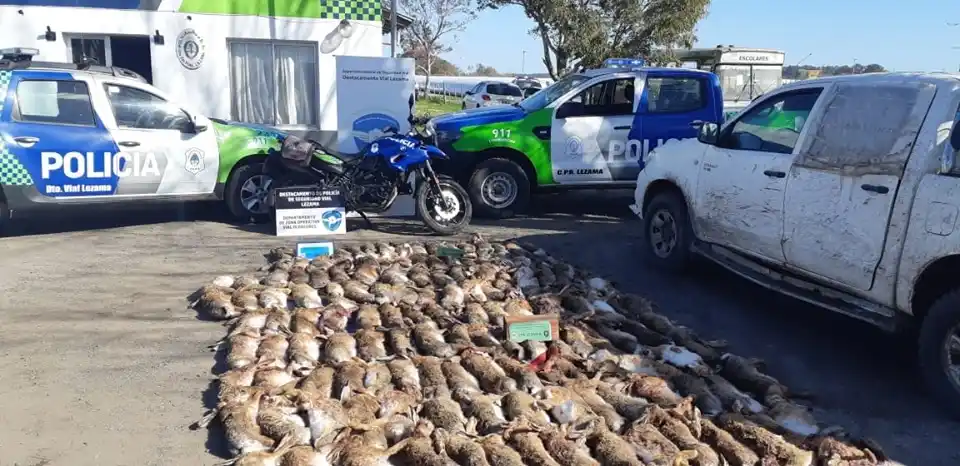 Cazadores furtivos: Dos infraccionados de General Guido con 177 liebres