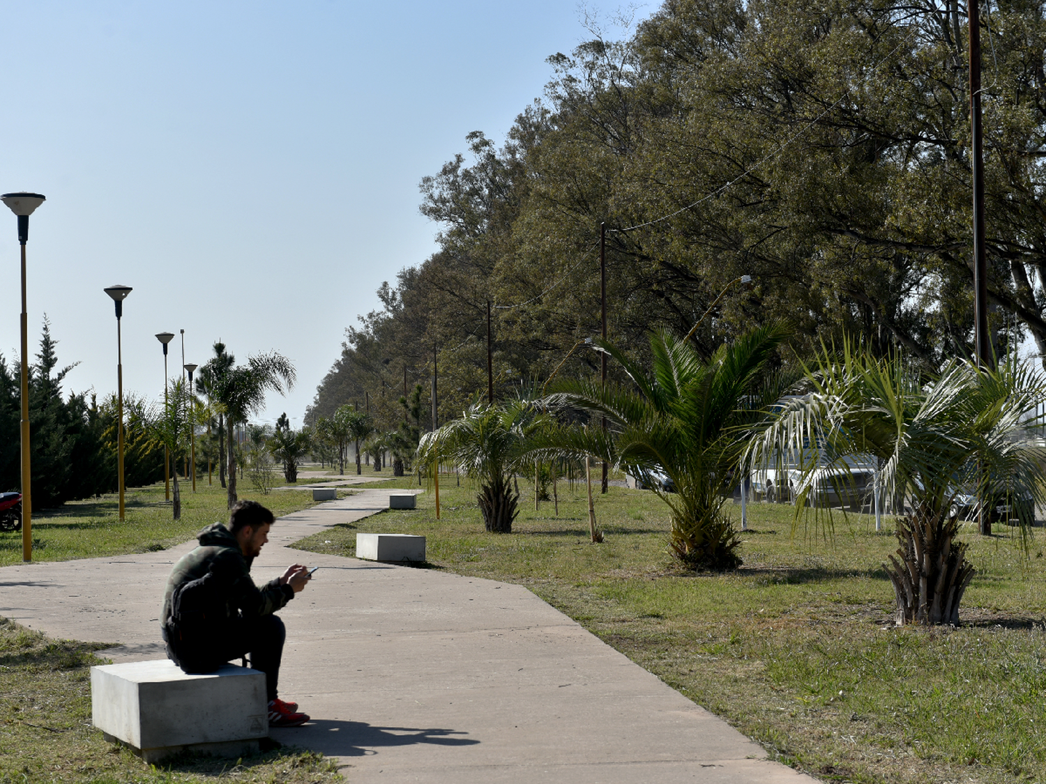 Plantaron 25 nuevos árboles en la Plaza de los Abuelos   