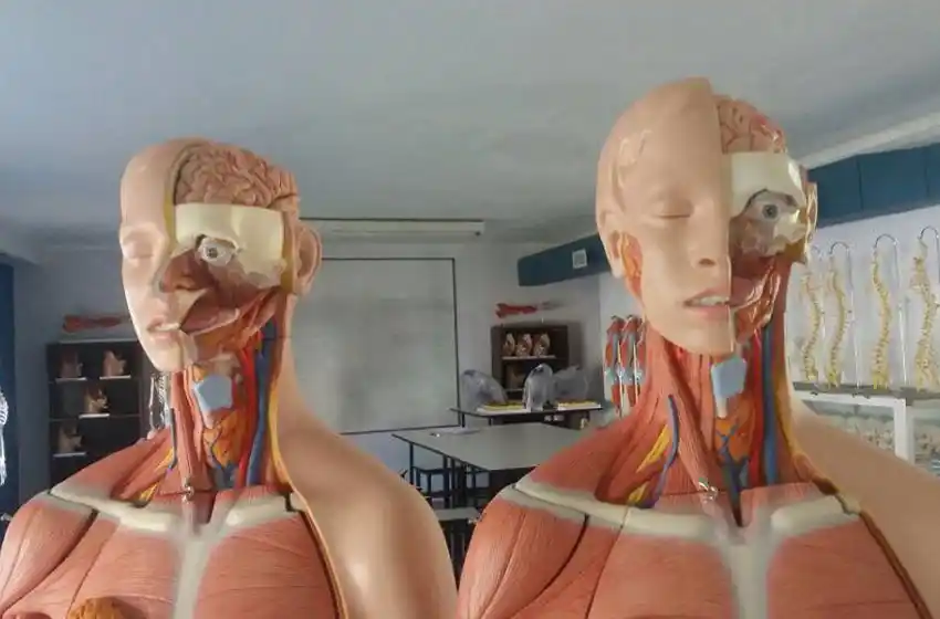 Más de 2200 aspirantes completaron la inscripción a Medicina