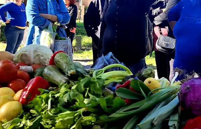 Se montaron los diferentes puestos de una importante cantidad de productores locales.