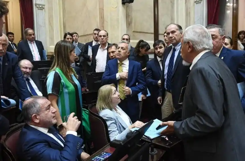 Senado: la oposición abandonó el recinto y acusó al FDT de buscar imponer un temario antirreglamentario