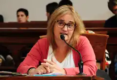 "A esta gestión no le pueden achacar que contrató a Pitty para que tire las cartas en Economía"