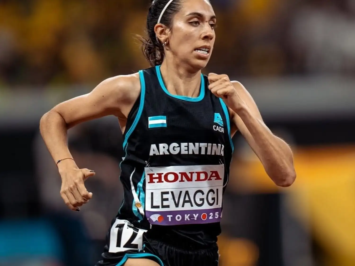 m levaggi