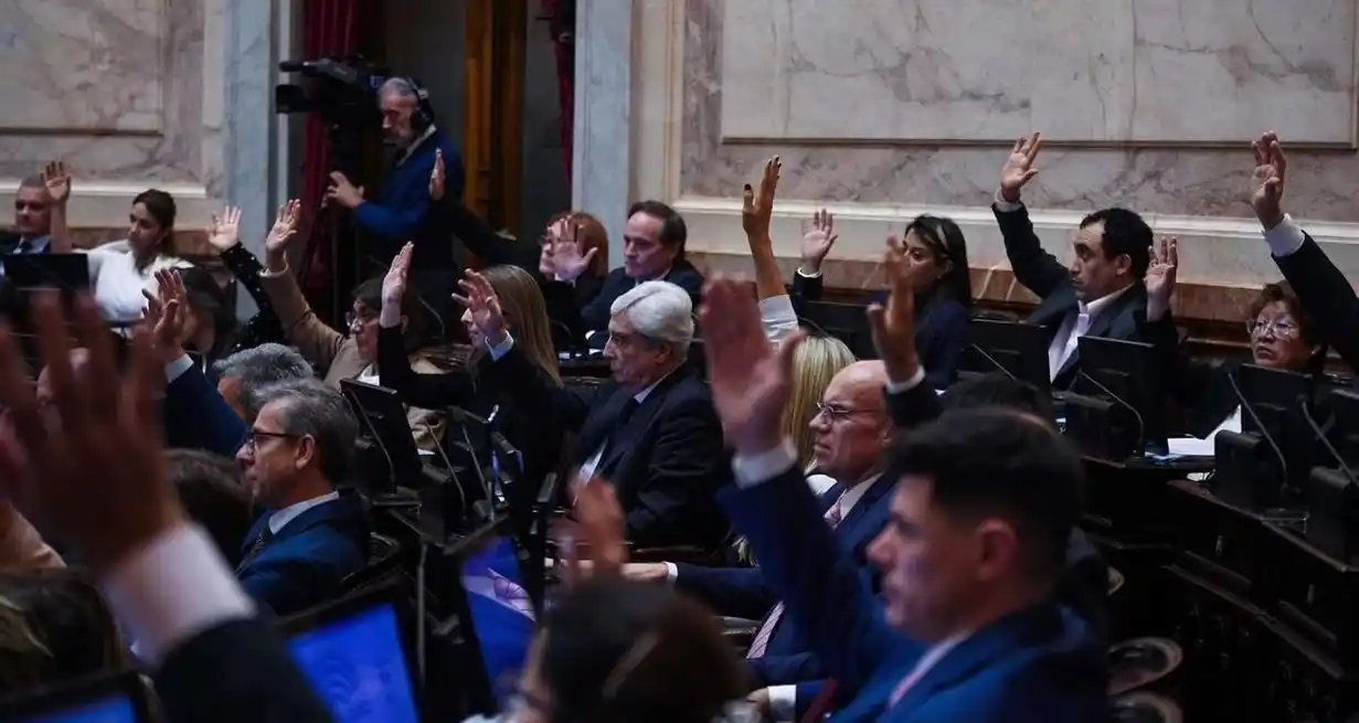 Los senadores nacionales votan el proyecto de ley de Ficha Limpia. Miércoles 7 de mayo de 2025.