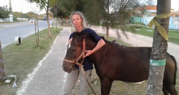 Reclamo por caballos destinados a faena