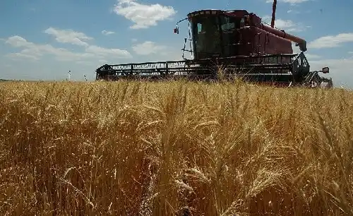 Urribarri gestionó una línea de crédito para el cultivo del trigo 