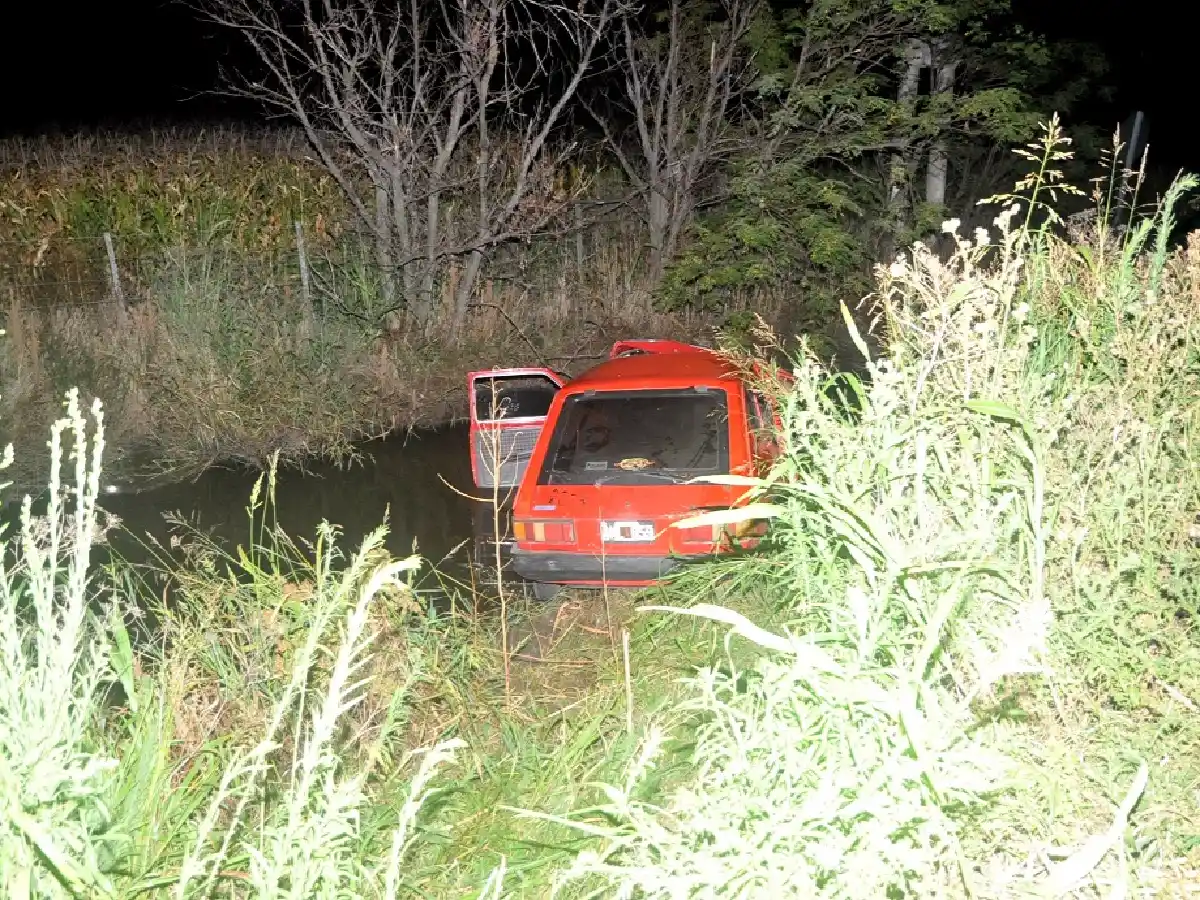 Ruta 19: perro cruza la ruta y origina un choque en cadena