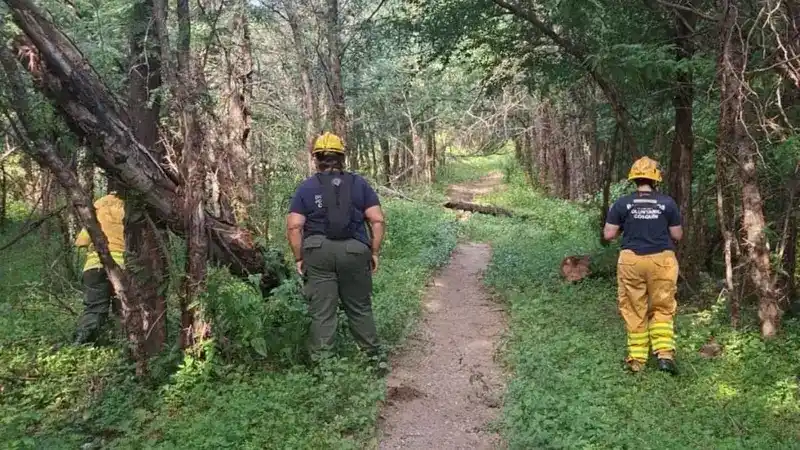 La desesperada búsqueda de Esmeralda, la nena desaparecida en Cosquín: siguen los rastrillajes