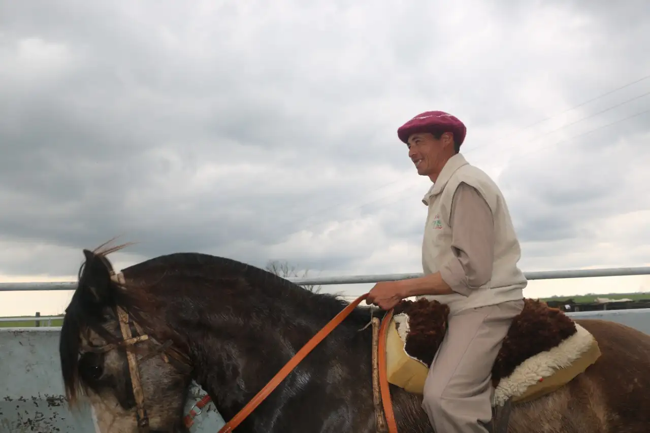 El caballo, un compañero fiel del hombre