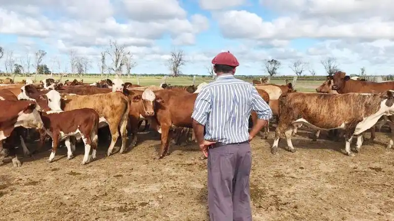 Aumento salarial para los trabajadores rurales: ¿cuál será el nuevo salario inicial?