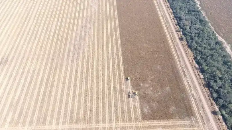 La compactación, el enemigo silencioso de cosechar en suelos húmedos