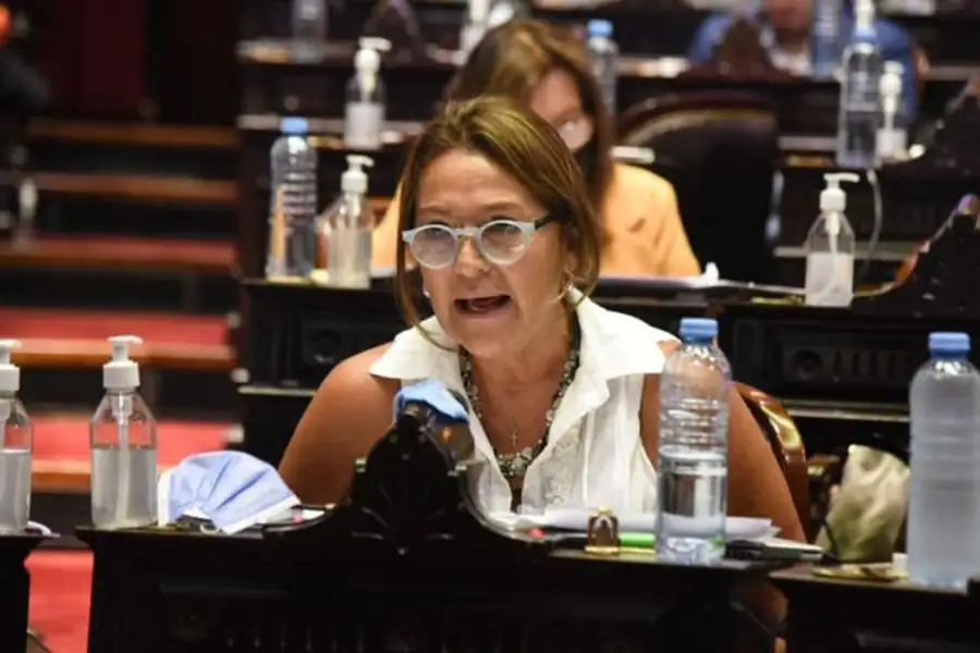 Marcela Campagnoli es la autora del proyecto que busca restringir las apuestas online.
