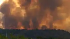 Entre Ríos: cuatro focos activos de incendios en el Ibicuy