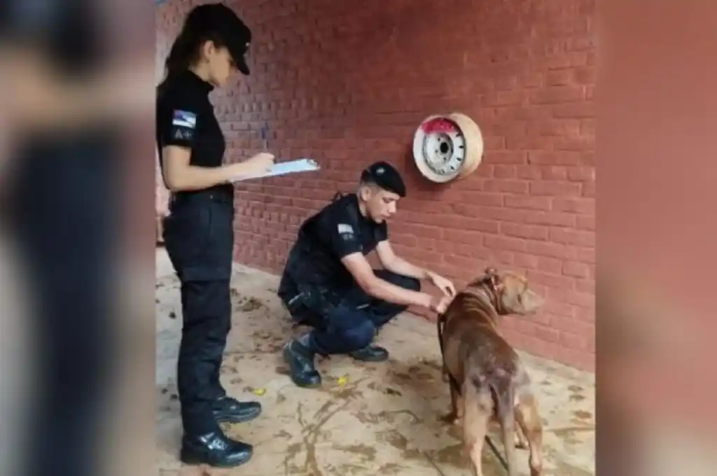 El hecho ocurrió en Dos de Mayo, Misiones.