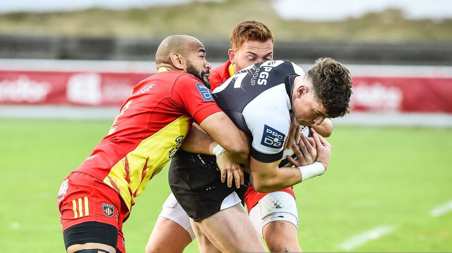 Cayó Perpignan y Vannes puede regresar a la punta