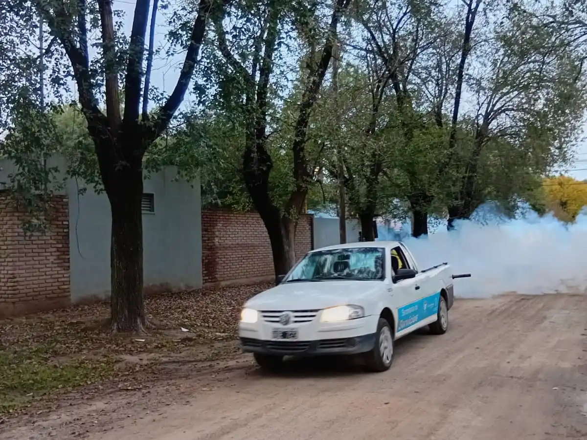 Refuerzan la fumigación para controlar la proliferación del mosquito común