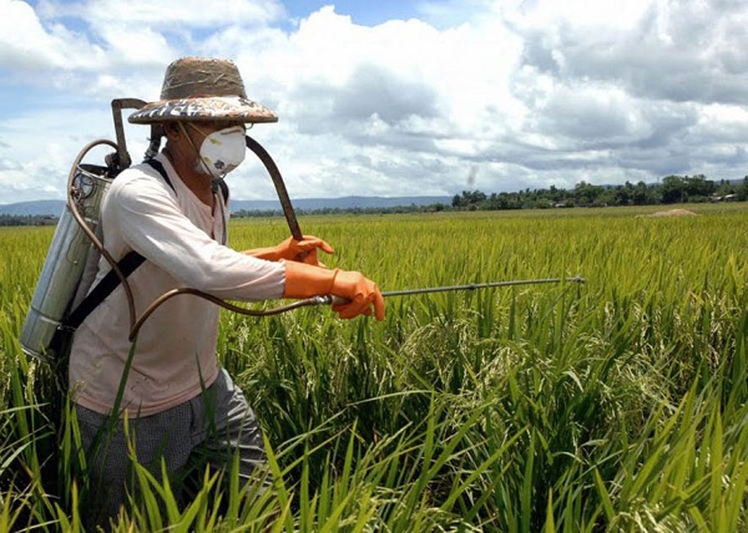 La prohibición de agroquímicos se tratará en 2018