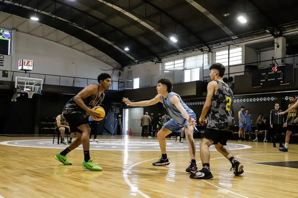 Pettinarolli Molina - 2