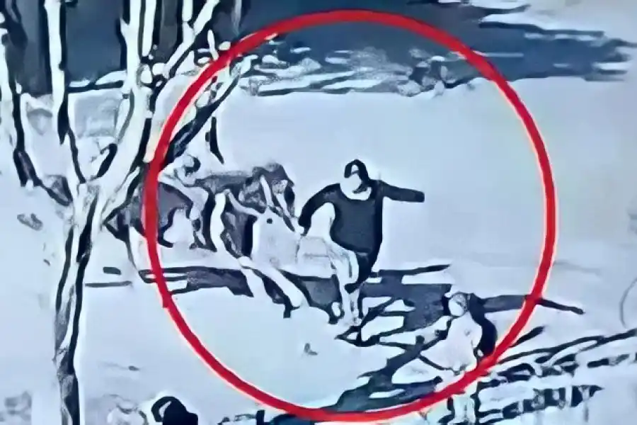 VIDEO | Un nene de 12 años se subió a un caballo y embistió a dos mujeres: una está en coma