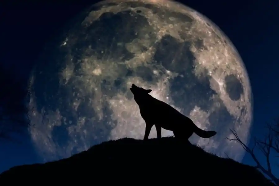 Luna de lobo, cometas y meteoros para el primer mes del 2023