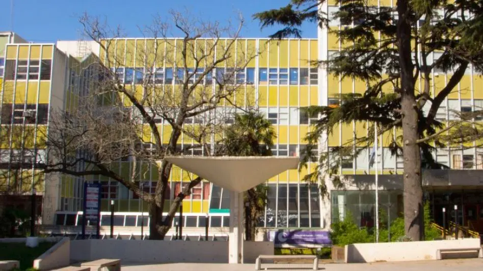 Agredieron a un estudiante libertario en el complejo de la UNMDP