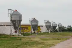 Pilar Pitón (Los Tres Palos): ”La carne de cerdo a nivel mundial es la más consumida”